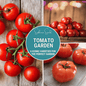 Tomato Garden Seed Collection – 6 Varieties